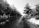 Winter_in_Shahreza.jpg