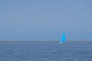 XT102034M.jpg