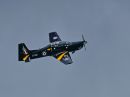 XT202671M_resize1.JPG