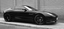 for_WPF_Jaguar_F_Type.jpg
