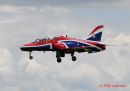 hawk3.jpg