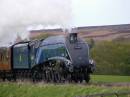 nymr-115.jpg