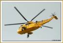 rafseaking.jpg