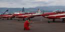 roulettes_warming_up_resize.jpg