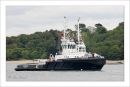tug2.jpg