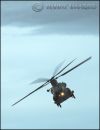 war_horse.jpg