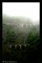 001Arash_20080418_0039-----01.jpg
