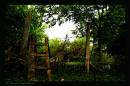 001Arash_20080418_0077-011.jpg
