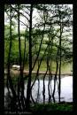001Arash_20080418_0120--001.jpg