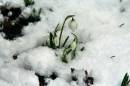 02-02-snow_016.jpg