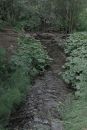 028_SKAGWAY_CREEK-_GRAY_SCALE_and_HUE_-SATURATION.jpg