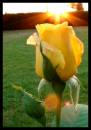 03_07_06_1_208.jpg