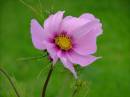 2004_0726Image0018.JPG