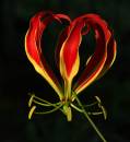 20100102_12932_winzi49_01.jpg