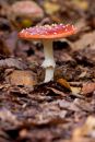 20111020-AX8A0342.jpg