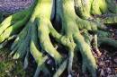 2011_01_09_00106_eccelshall_07.jpg