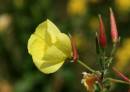 23rd-Aug-073.jpg