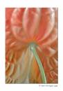 Anthurium2.jpg