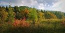 Autumn_Colours5.jpg