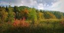 /gallery/data/505/thumbs/Autumn_Colours5.jpg