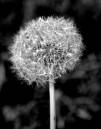 Autumn_images002.jpg