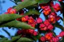 Autumn_images003.jpg