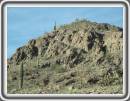 Az-cactus.jpg