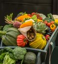 Barrow_of_Veg.JPG