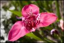 CRW_2031.jpg