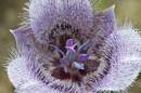 CRW_7965-small.jpg