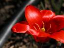 Captured_2004-3-22_00002.jpg