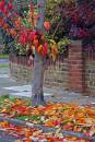 Colours-galore.jpg