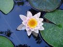 DSC00118a.jpg