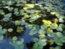 DSC00196a.jpg