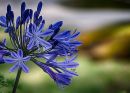 DSC00417-s.jpg
