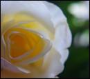DSC01618.jpg