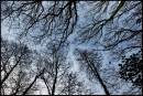 DSC01757.jpg