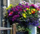 DSC01910a.jpg