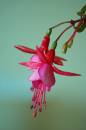 DSC02722a.jpg