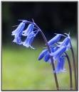 DSC05020.jpg