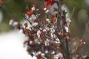 DSC05115S.jpg