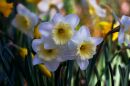 DSC07442.jpg
