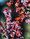 DSC07465.jpg