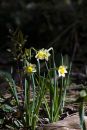DSC07591.jpg
