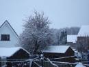 DSC07638.JPG