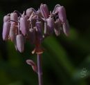 DSC3713.jpg