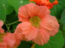 DSCF3920.jpg