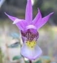 DSCF57291.jpg