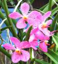 DSCN0808.JPG