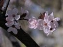 DSCN1164a.jpg